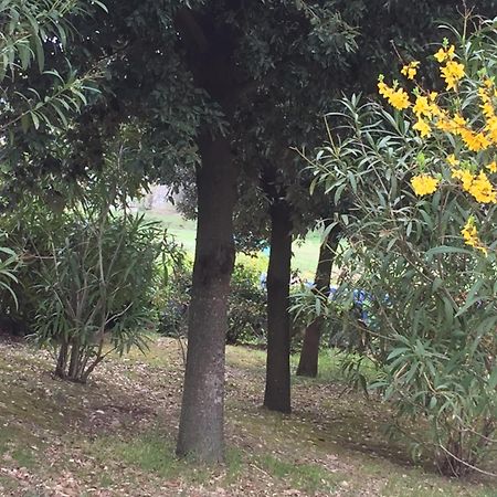 Appartamento Dell Agriturismo Pane E Olio Todi Buitenkant foto