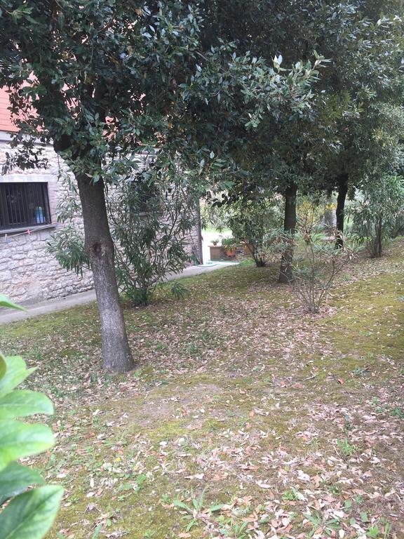 Appartamento Dell Agriturismo Pane E Olio Todi Buitenkant foto