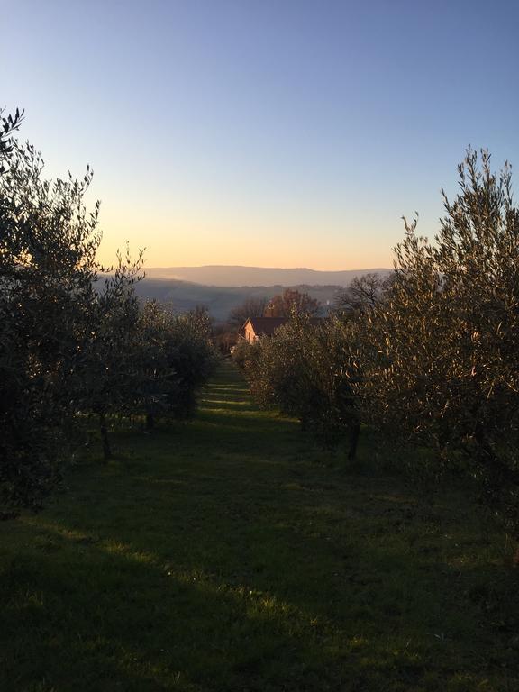 Appartamento Dell Agriturismo Pane E Olio Todi Buitenkant foto
